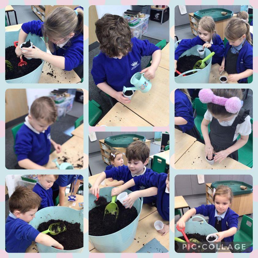 Science Y1 (1)